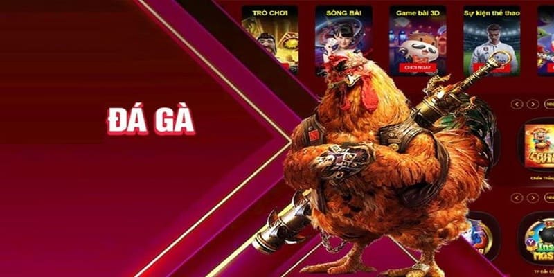 Tận hưởng các trận đấu chất lượng nhất